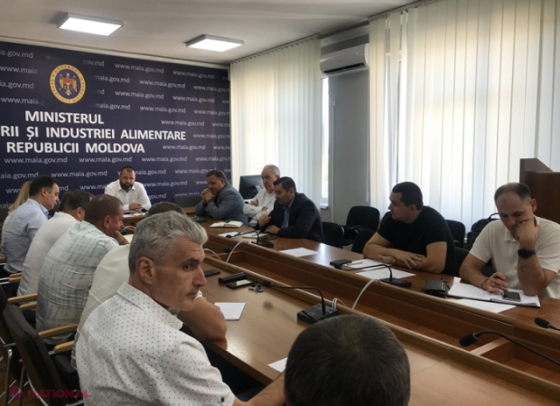 Asociația „Forța Fermierilor” amenință cu noi proteste, dacă Guvernul nu va interzice importul semințelor de floarea-soarelui „cel puțin până la 31 decembrie”: „Fermierii sunt impuși să comercializeze floarea-soarelui mult sub prețul de cost”