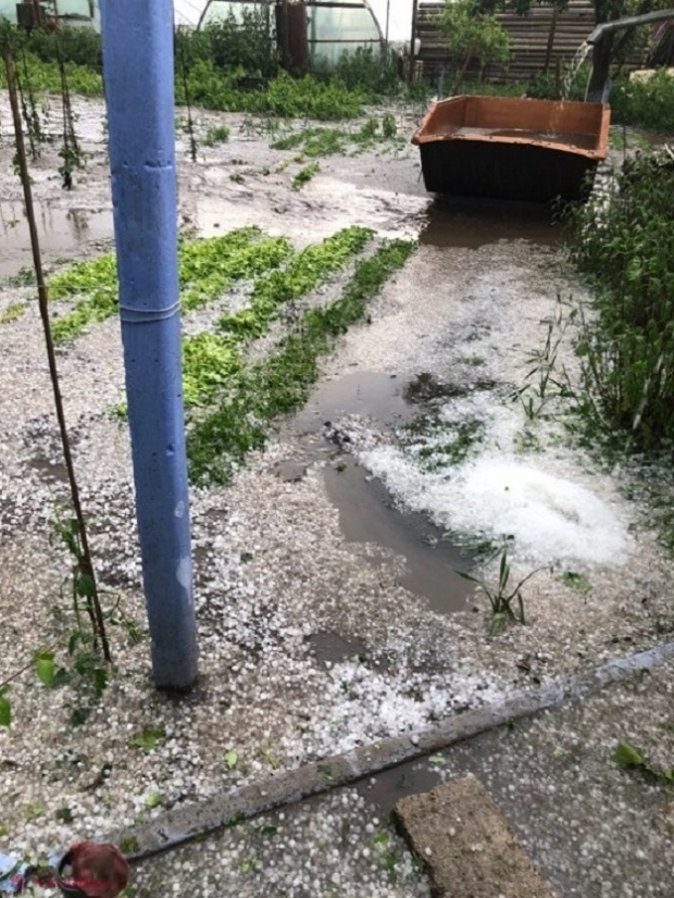 METEO // Cod galben de ploi, GRINDINĂ și VIJELIE în R. Moldova: Gheața căzută astăzi a compromis grădini din Basarabeasca și Cimișlia