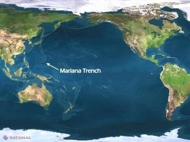 Descoperirea ŞOC făcută de cercetători în Groapa Marianelor, cel mai adânc loc de pe Terra, la 11 km sub apă. Au ajuns şi acolo!