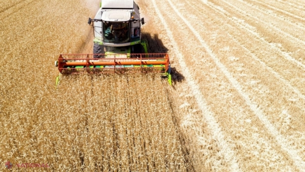 România va produce și anul acesta mai multe cereale decât va consuma și poate să exporte