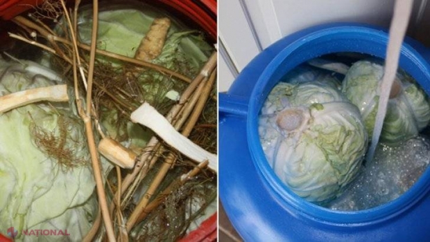 Legătura incredibilă dintre varza murată şi cancer. Nu s-a ştiut asta până acum  