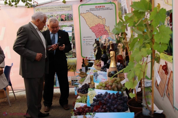 MILIOANE // CÂȚI BANI au câștigat vinificatorii de Ziua Vinului? Vezi de UNDE au venit cumpărătorii